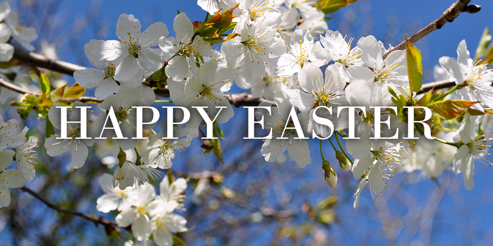 Happy Easter. A closeup of flowers.